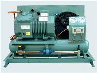 平顶山比泽尔机组