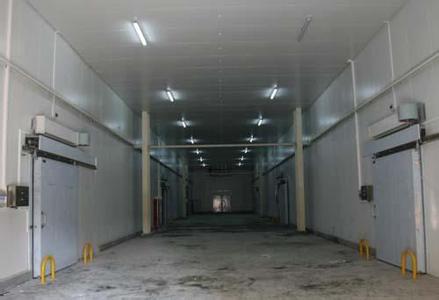 郑州果蔬气调库