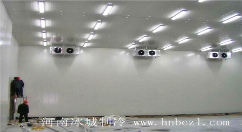 保鲜库|蔬果冷库|香蕉冷库|水果冷库