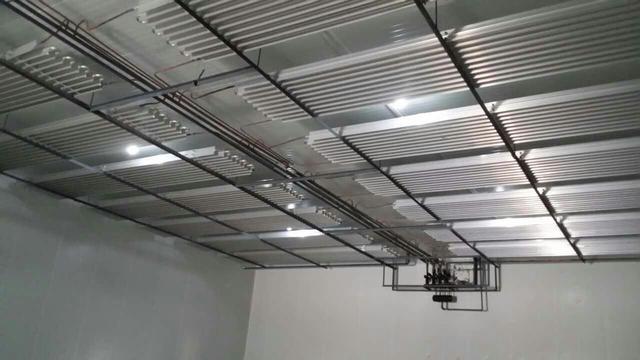 牛和羊肉冷藏库