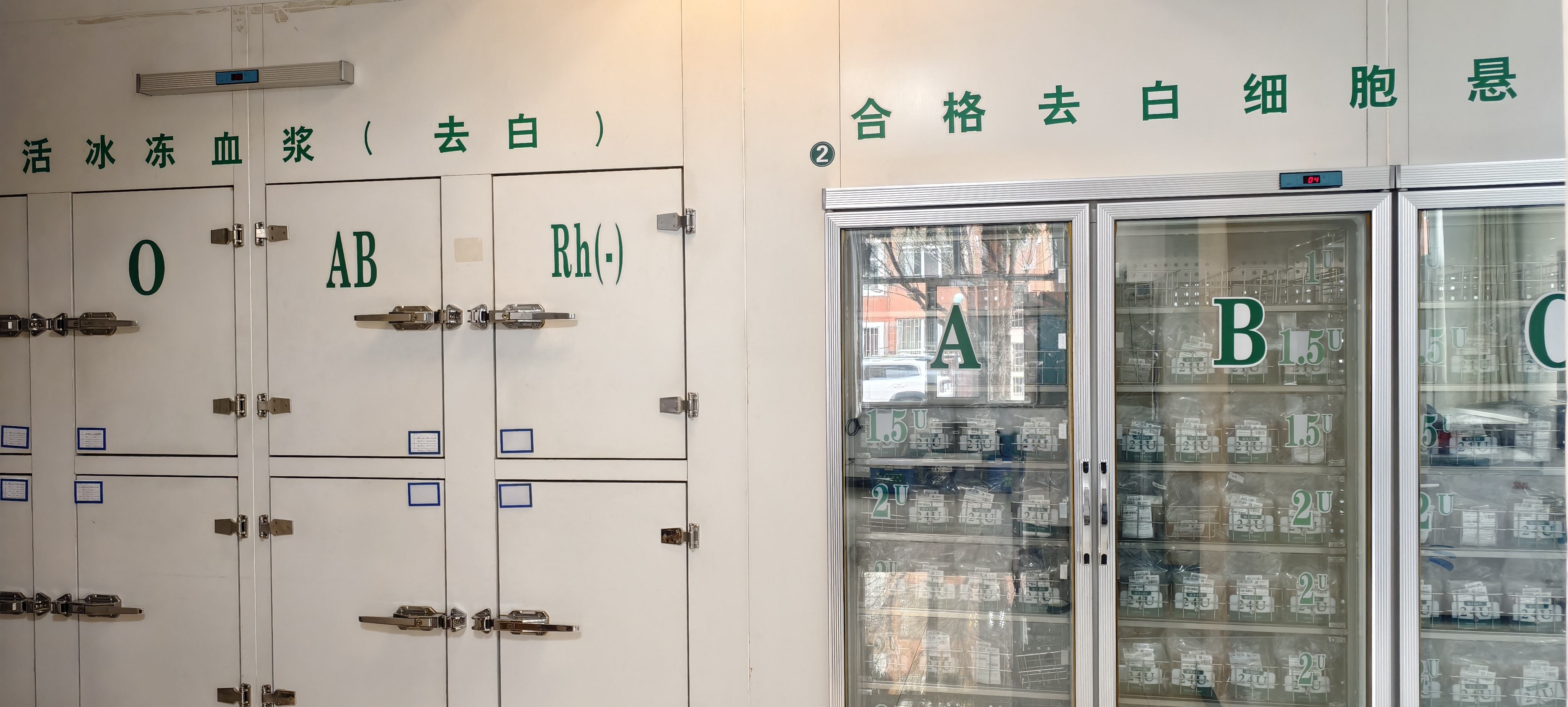 北宸冷链医冷库安装