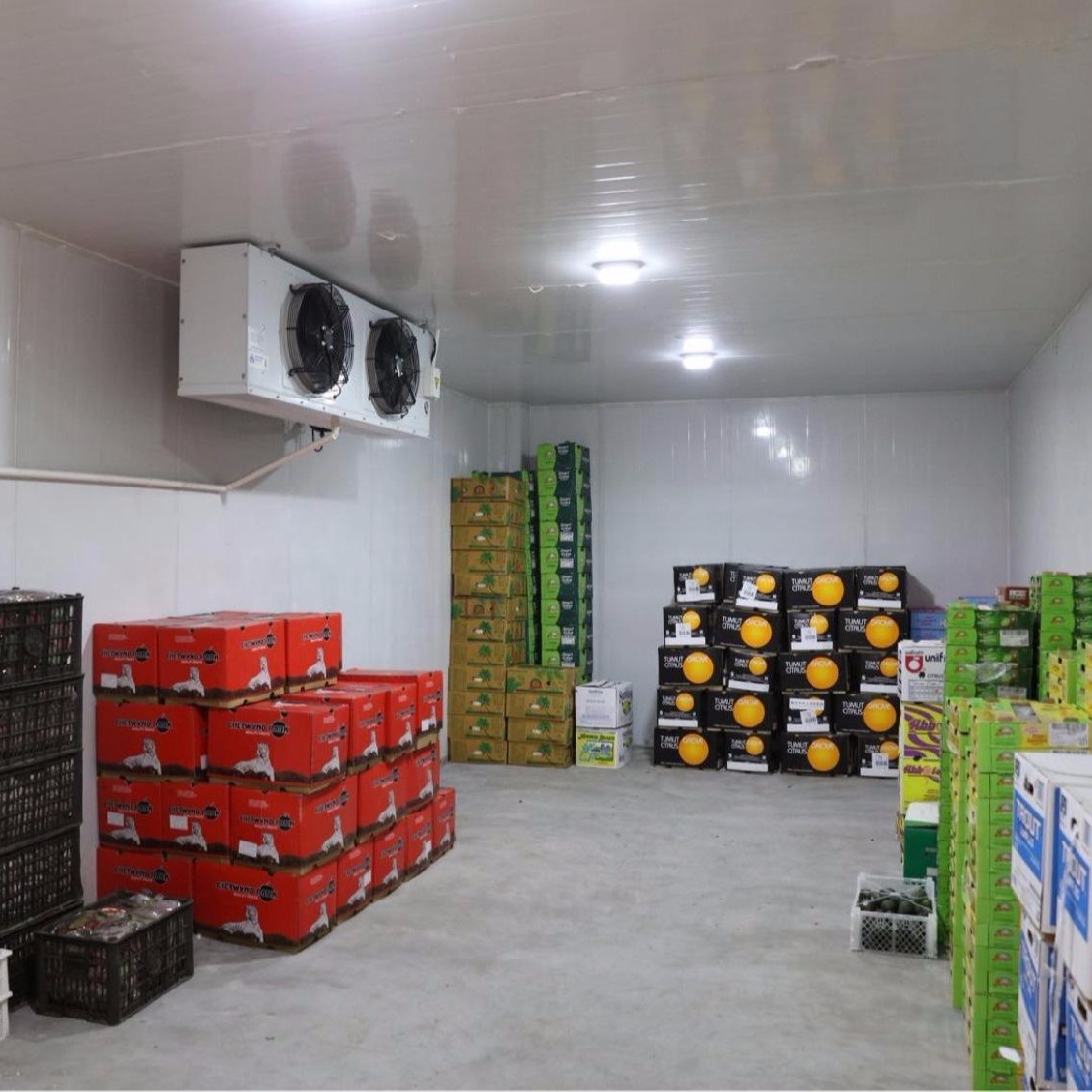 苹果保鲜库设计安装图片